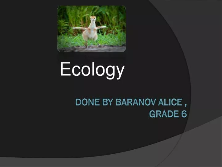 ecology