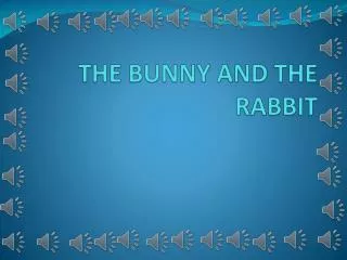 THE BUNNY AND THE RABBIT