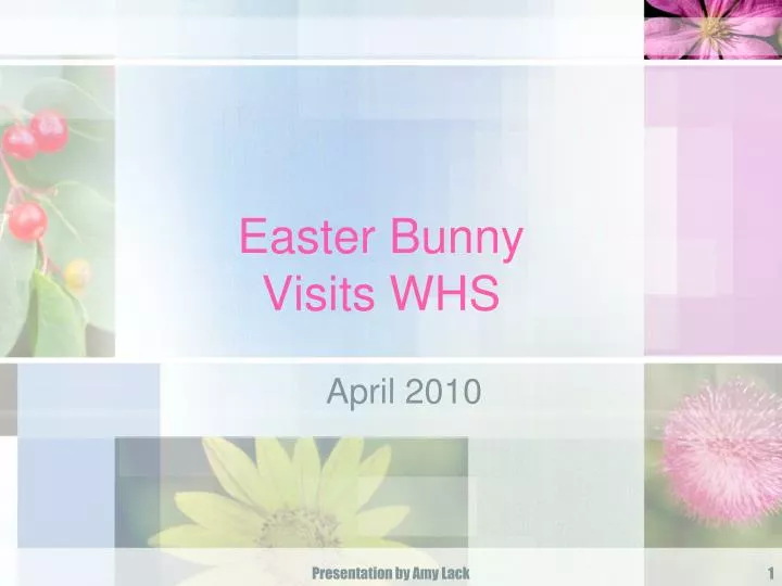 easter bunny visits whs