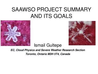 SAAWSO PROJECT SUMMARY AND ITS GOALS