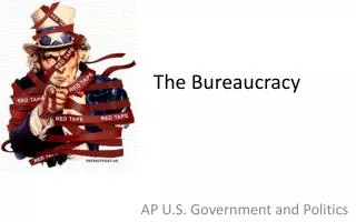 The Bureaucracy