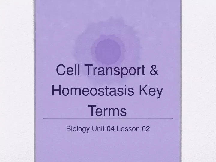 cell transport homeostasis key terms
