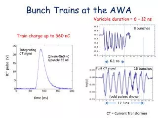 Bunch Trains at the AWA