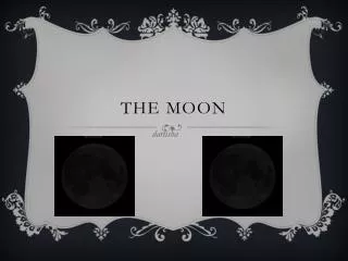 the moon
