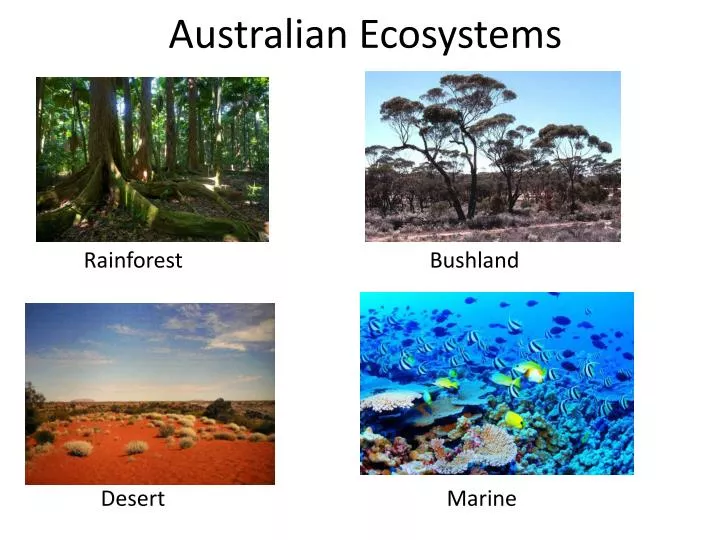 australian ecosystems