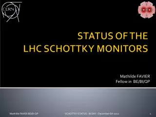 STATUS OF THE LHC SCHOTTKY MONITORS