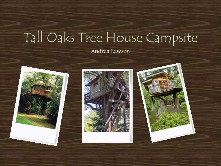 tall oaks tree house campsite