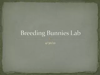 Breeding Bunnies Lab