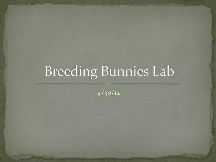 breeding bunnies lab