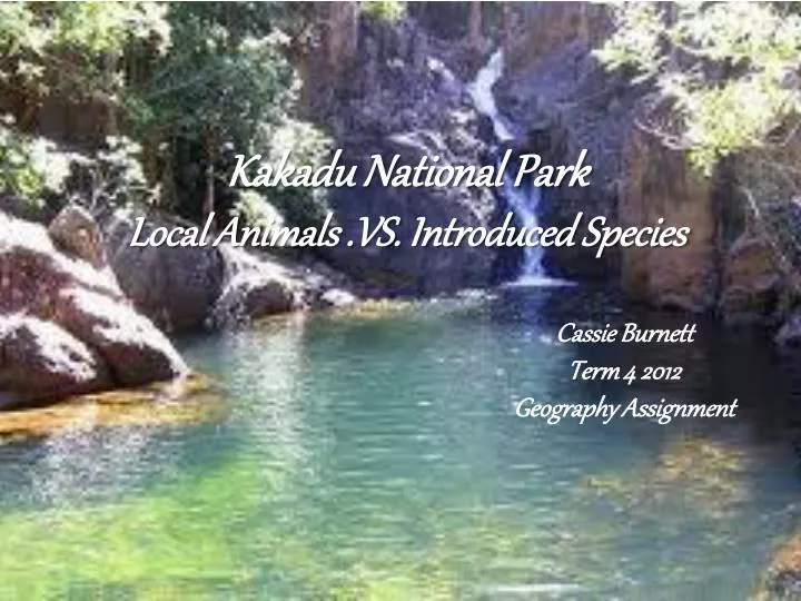 kakadu national park local animals vs introduced species