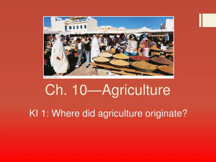 ch 10 agriculture