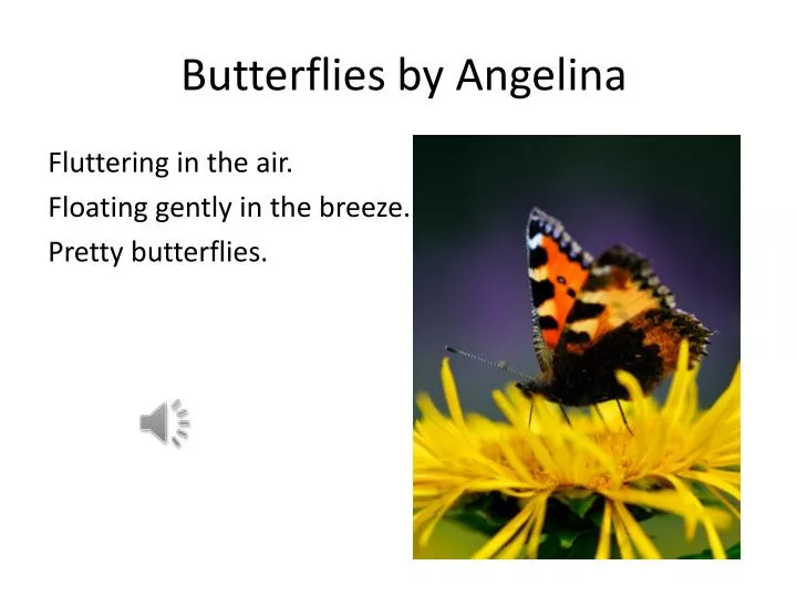 butterflies by angelina