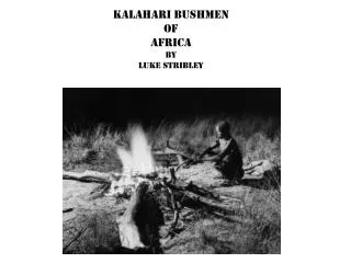 Kalahari bushmen of africa by Luke Stribley