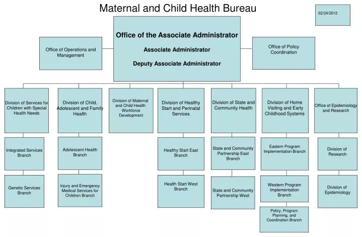 maternal and child health bureau