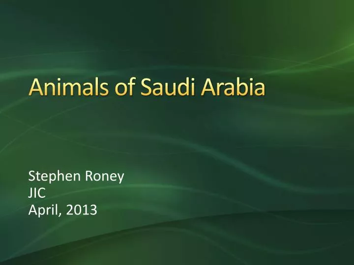 animals of saudi arabia