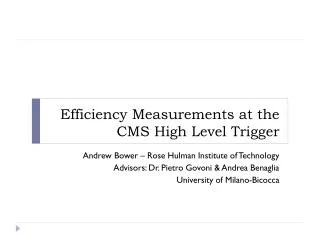 Efficiency Measurements at the CMS High Level Trigger