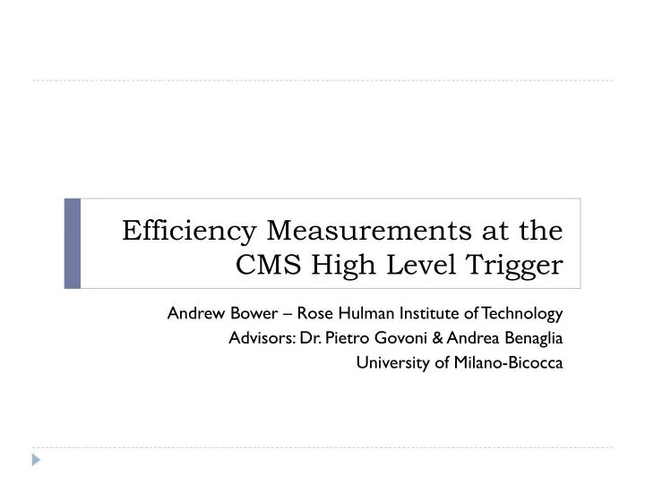 efficiency measurements at the cms high level trigger
