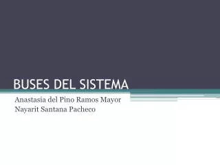 buses del sistema