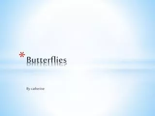 butterflies