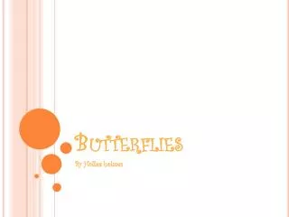 butterflies