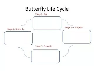 PPT - Life Cycle of the Butterfly PowerPoint Presentation, free ...