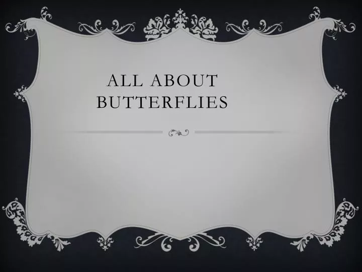 all about butterflies