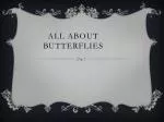 All About Butterflies - slide 1