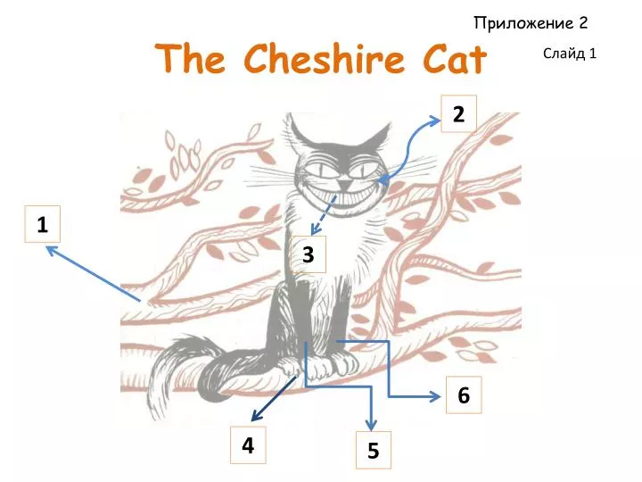 the cheshire cat