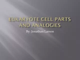 Eukaryote Cell parts and analogies