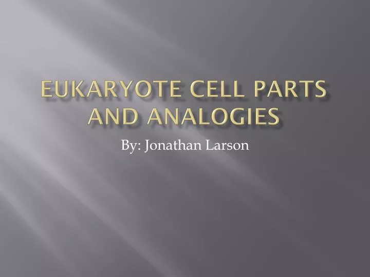 eukaryote cell parts and analogies