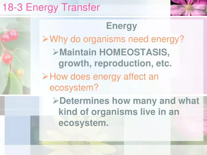 18 3 energy transfer