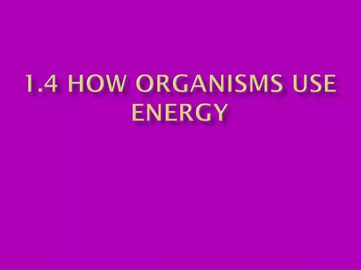 1 4 how organisms use energy