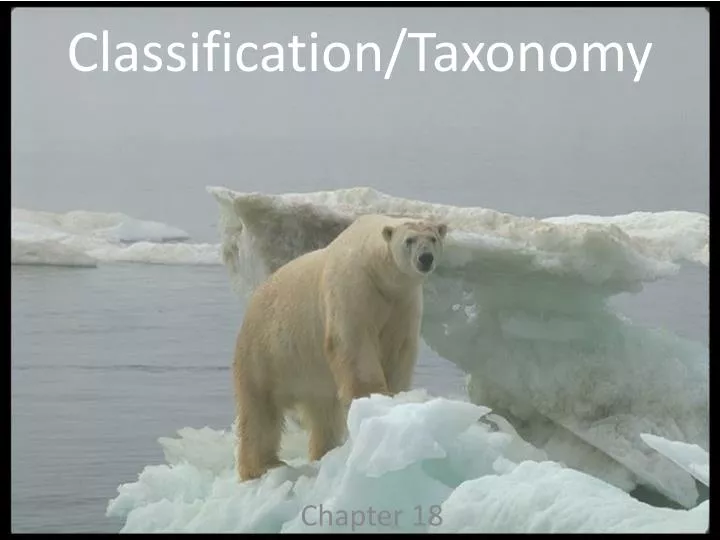 classification taxonomy
