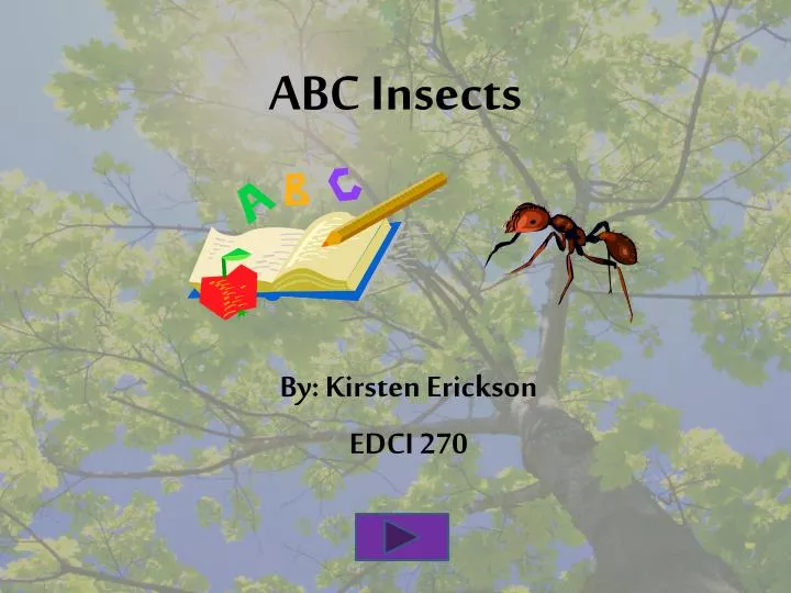 abc insects