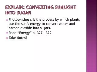 explain converting sunlight into sugar