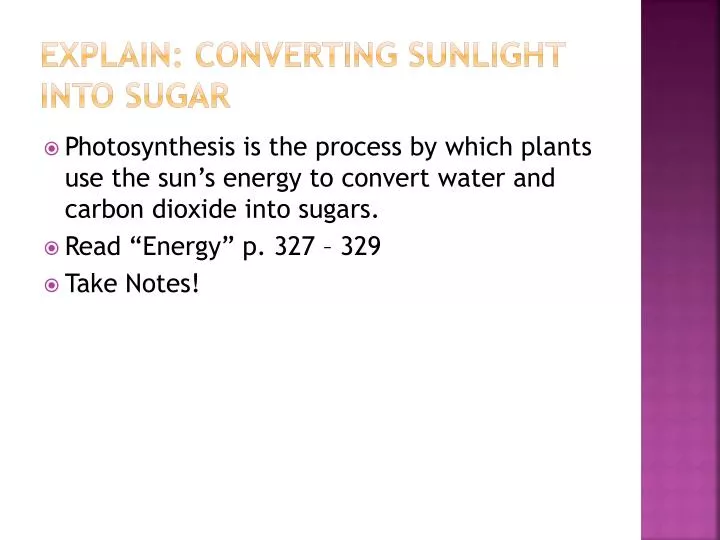 explain converting sunlight into sugar