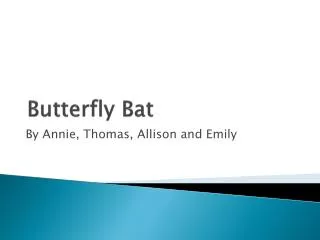 Butterfly Bat