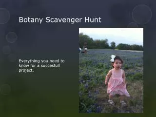 Botany Scavenger Hunt