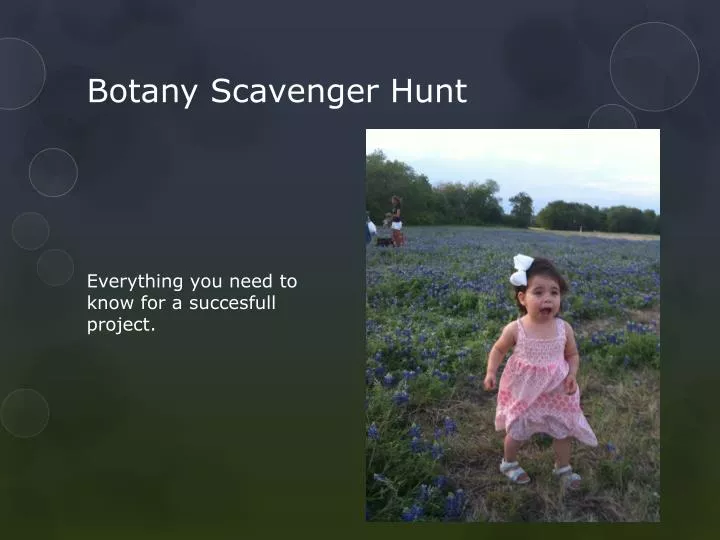botany scavenger hunt