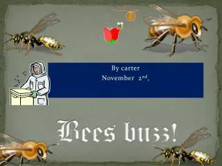 Bees buzz!