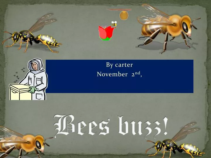 bees buzz