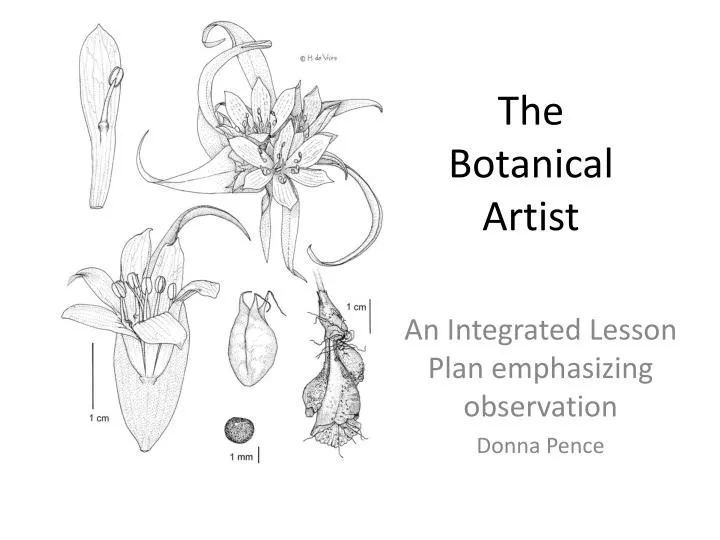 the botanical artist