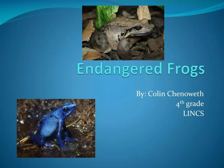 endangered frogs