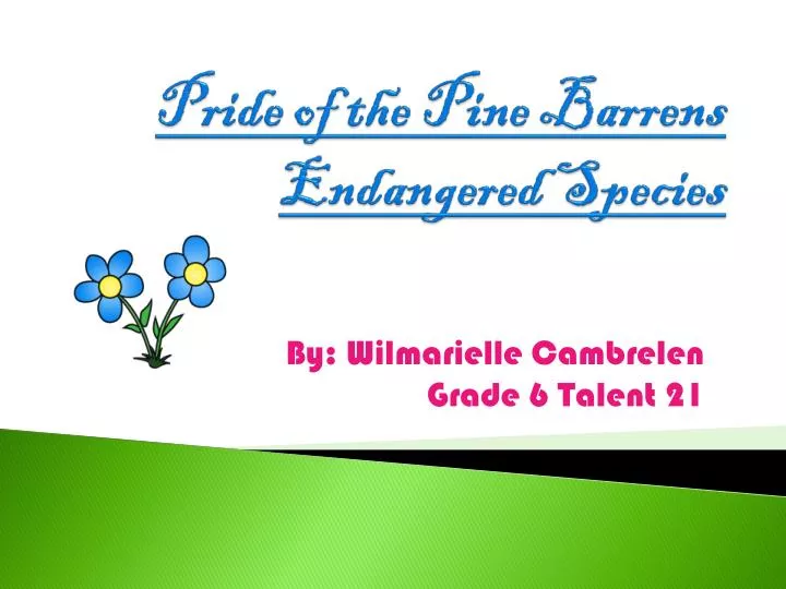 pride of the pine barrens endangered species