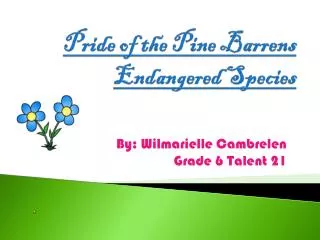 Pride of the Pine Barrens Endangered Species