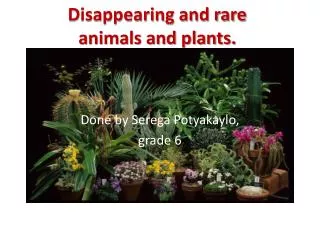 Disappearing and rare animals and plants.