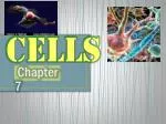 Chapter 7 - slide 1