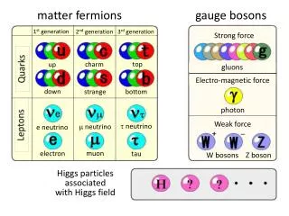 m atter fermions