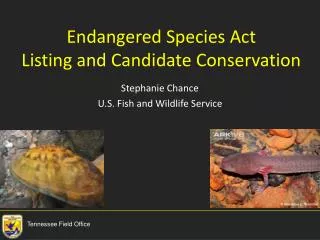 Endangered Species Act Listing and Candidate Conservation