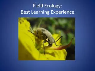 Field Ecology: Best Learning Experience